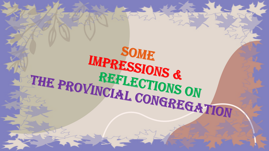 Some Impressions and Reflections: Provincial Congregation Journey